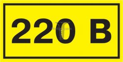 Картинка ЗНАК "220В" 40х20 Самоклеющийся знак безопасности, 40х20мм арт. YPC10-0220V-1-100 купить 